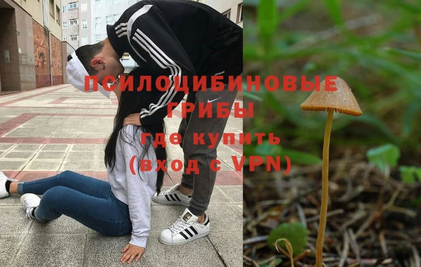 ПСИЛОЦИБИНОВЫЕ ГРИБЫ Козельск