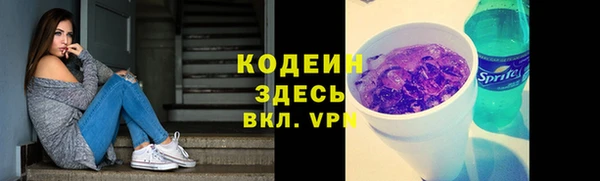 индика Кинешма