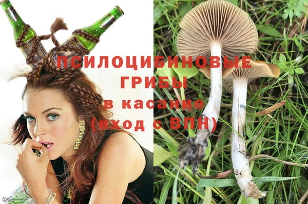 СК Козловка