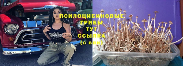 СК Козловка