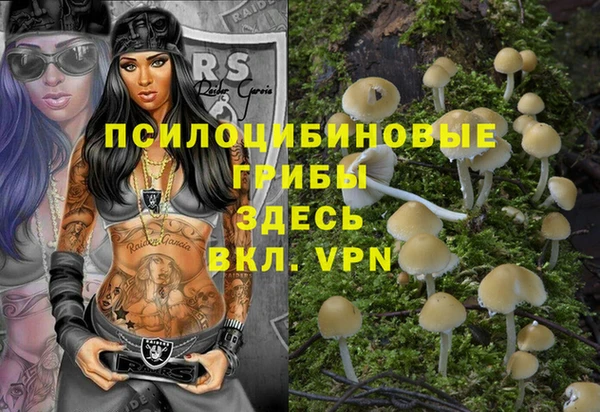 ПСИЛОЦИБИНОВЫЕ ГРИБЫ Козельск