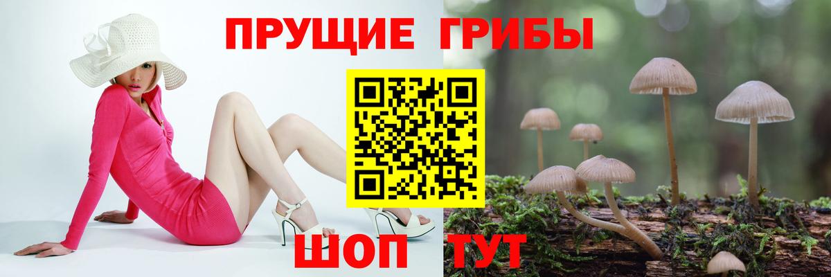 Магнитогорск  Псилоцибиновые грибы мухоморы  Вход с VPN  закладка  Галлюциногенные грибы Cubensis 